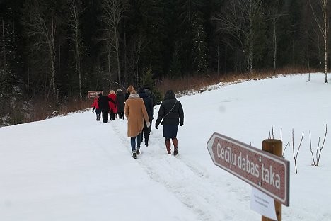 Vidzemes Tūrisma asociācija